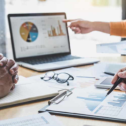 Flexible-PPM Project Portfolio Management