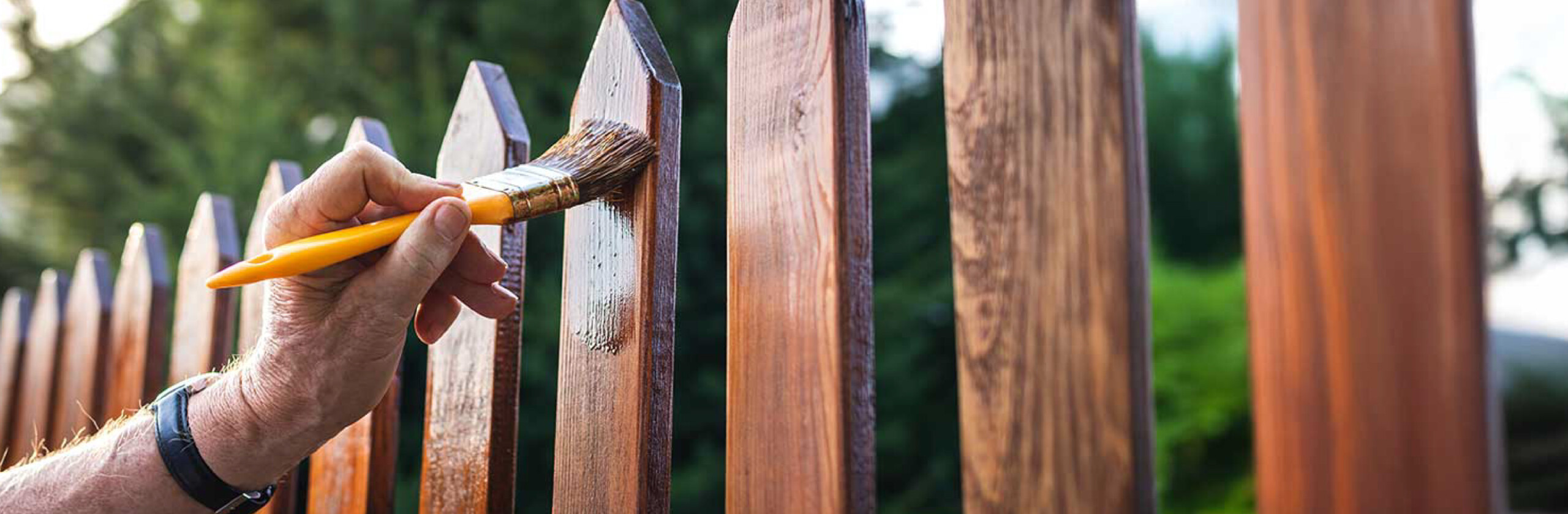 Close-up of a person staining a wooden fence outdoors with a paintbrush, showing fresh coating on vertical boards.